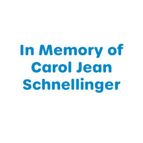 Schnellinger (Gold Star 24)